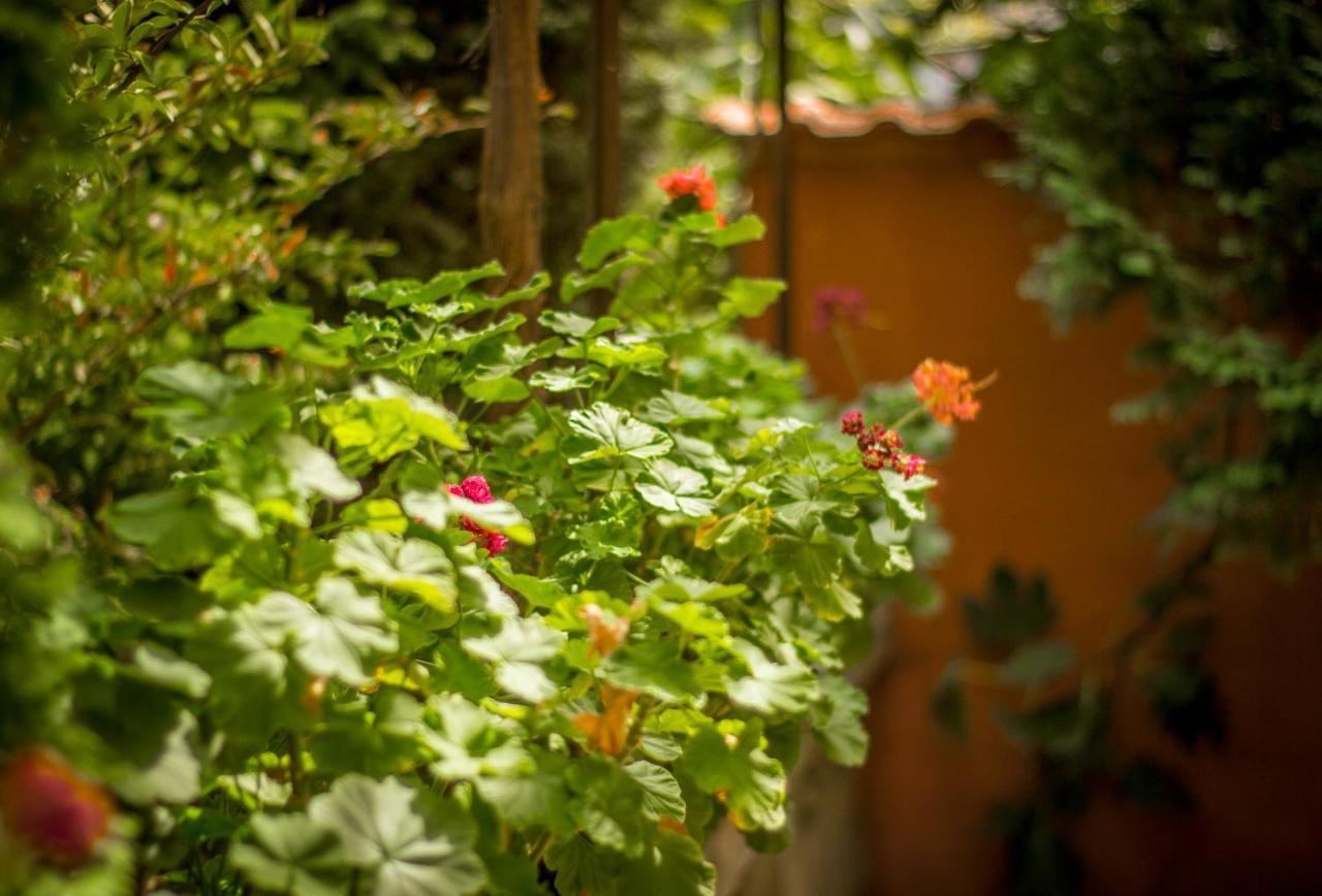 Family Hotel Saint Iliya Burgas Exterior photo